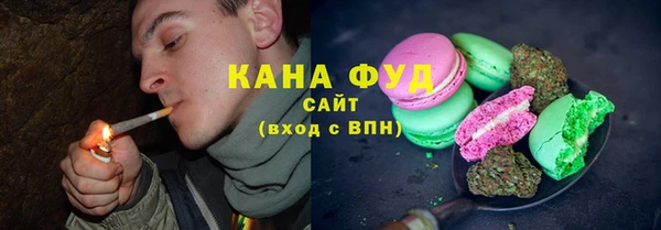 твердый Мегион