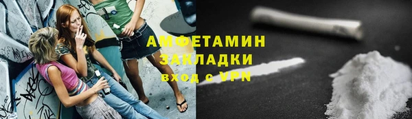 твердый Мегион