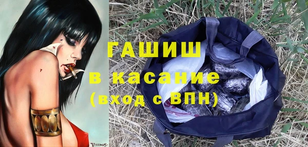 твердый Мегион