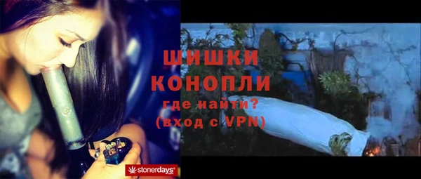 твердый Мегион