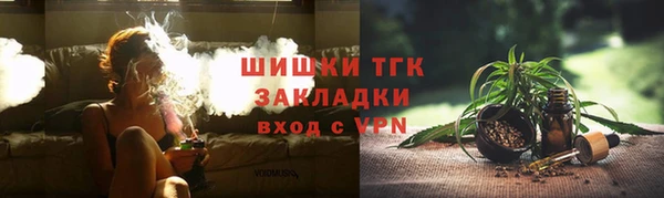твердый Мегион