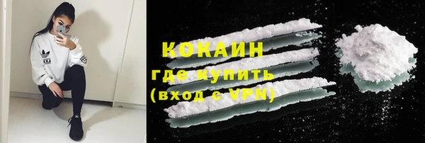 твердый Мегион