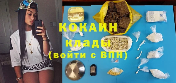 твердый Мегион