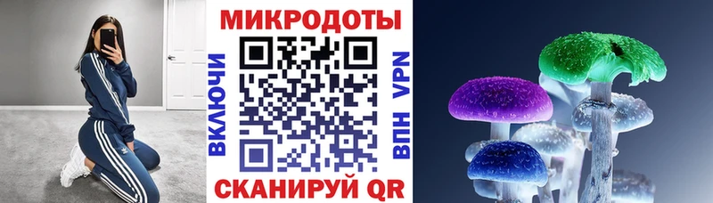Купить закладки  Трубчевск  Псилоцибиновые грибы GOLDEN TEACHER 